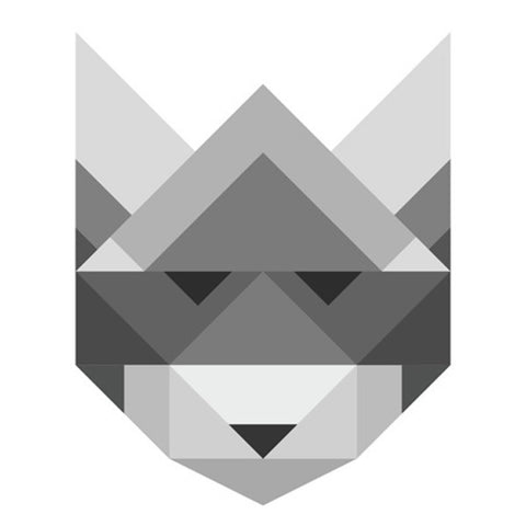 Poster Raccoon