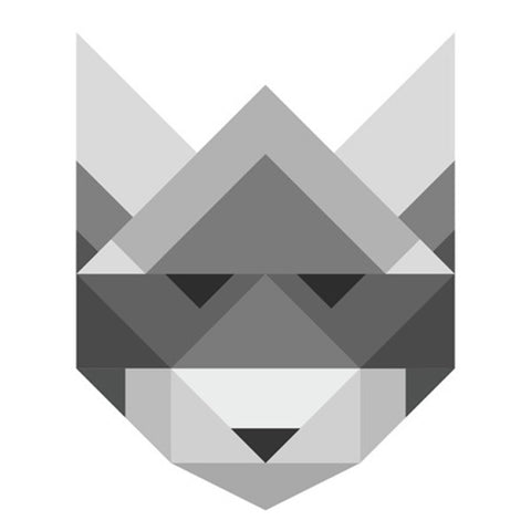 Poster Raccoon